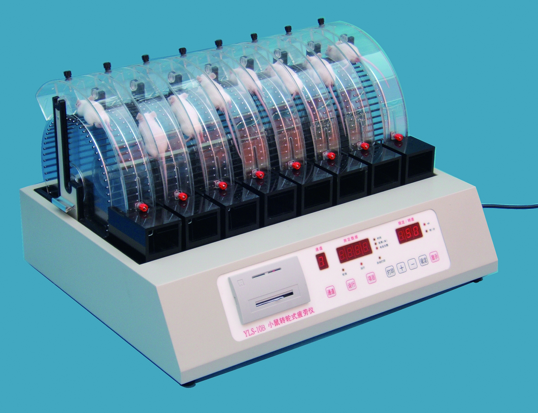 YLS10B小鼠转轮式疲劳仪