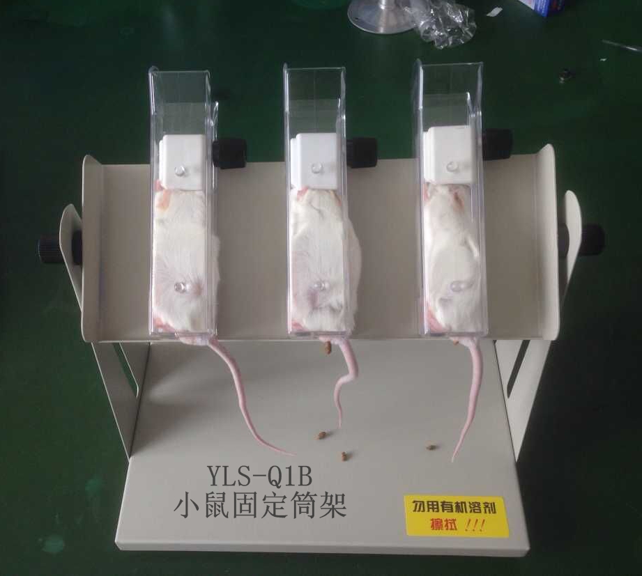 YLSQ1B小鼠筒固定架(图1)