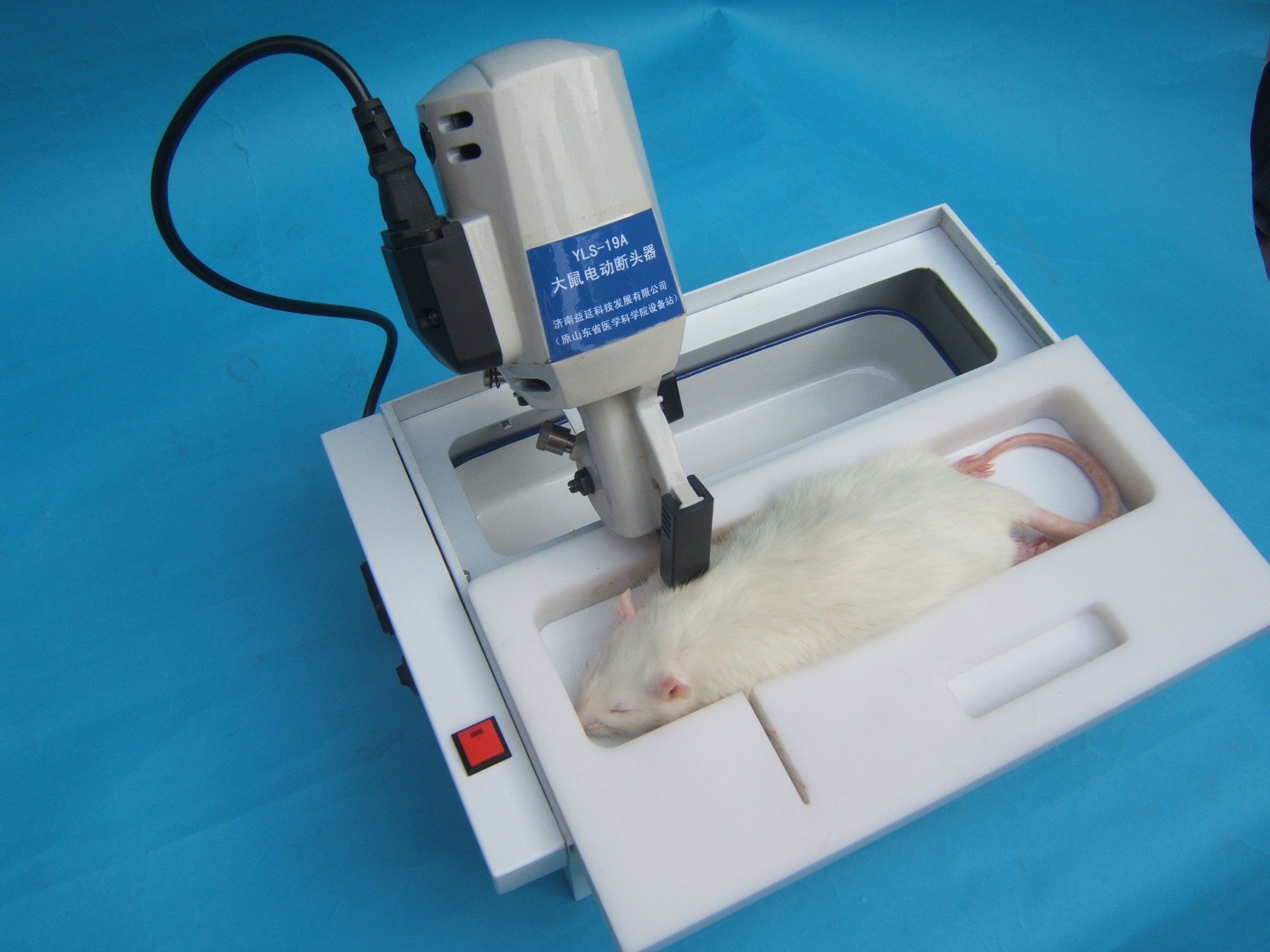 YLS-19A大鼠电动断头器(图1)
